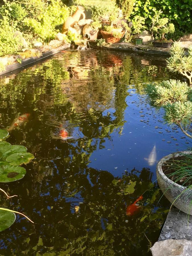 Les Reves D'Angele Bed & Breakfast Crain Eksteriør bilde